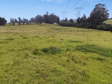 FINCA AGRÍCOLA DE VENTA EN PIFO – EL INGA. 3 HA. USD 370.000