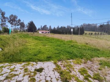 FINCA AGRÍCOLA DE VENTA EN PIFO – EL INGA. 3 HA. USD 370.000