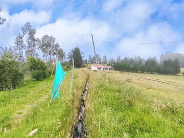 FINCA AGRÍCOLA DE VENTA EN PIFO – EL INGA. 3 HA. USD 370.000