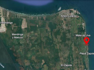 VENTA DE TERRENO FRENTE A PLAYA EN MATA DE UVA, ALVARADO, VER.