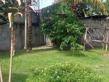 HOUSE & LOT FOR SALE NEAR AIRPORT ID 14877