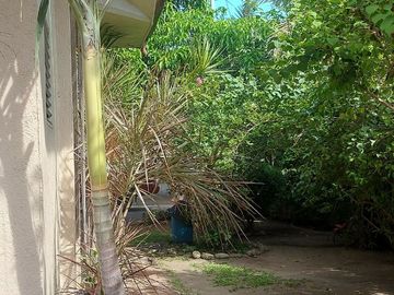 HOUSE & LOT FOR SALE NEAR AIRPORT ID 14877