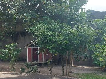 HOUSE & LOT FOR SALE NEAR AIRPORT ID 14877