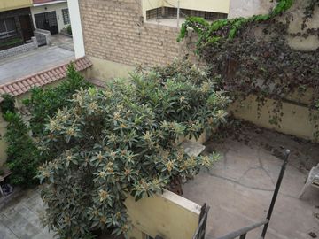 Vendo Linda Casa en Bellavista - Doble Fachada