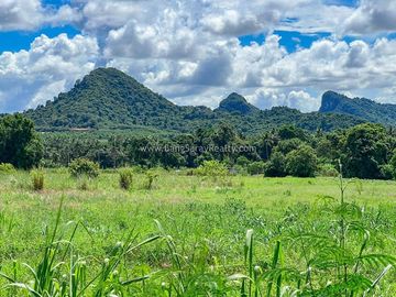 Land for Sale in Bang Saray Eastside, Beautiful mountain view.