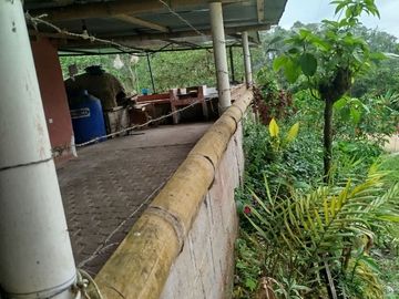 VENDO CASA RUSTICA, TERRENO 2593M2, CLIMA CALIDO