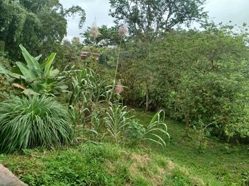VENDO CASA RUSTICA, TERRENO 2593M2, CLIMA CALIDO
