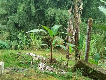 VENDO CASA RUSTICA, TERRENO 2593M2, CLIMA CALIDO