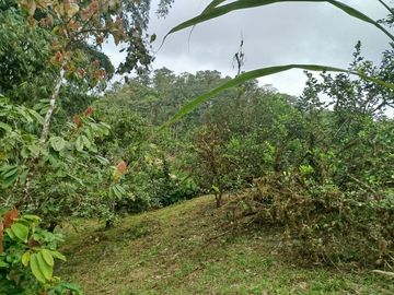 VENDO CASA RUSTICA, TERRENO 2593M2, CLIMA CALIDO