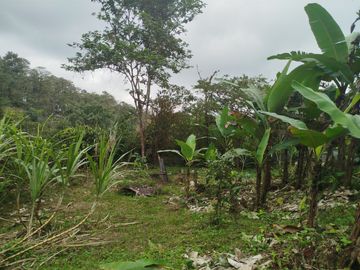 VENDO CASA RUSTICA, TERRENO 2593M2, CLIMA CALIDO