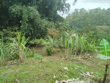 VENDO CASA RUSTICA, TERRENO 2593M2, CLIMA CALIDO