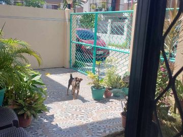Ready for Occupancy 110 sqm Single Detached House for Sale in Minglanilla Cebu
