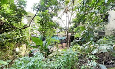 Maligaya Subdivision | Residential Lot For Sale - #7492