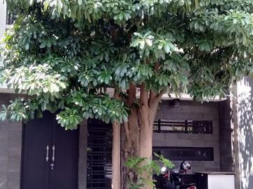 Rumah Dharmahusada Utara Luas SHM Bonus Rumah dkt Manyar Kertajaya Surabaya Timur