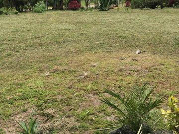 Vendo Terreno-Mindo
