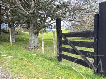Hermoso terreno en sector Ilihue , Lago Ranco