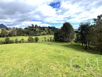 Hermoso terreno en sector Ilihue , Lago Ranco