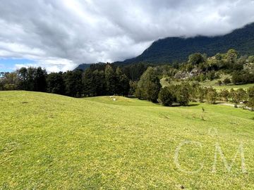 Hermoso terreno en sector Ilihue , Lago Ranco
