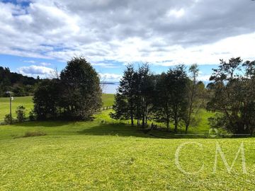Hermoso terreno en sector Ilihue , Lago Ranco