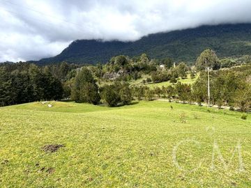 Hermoso terreno en sector Ilihue , Lago Ranco