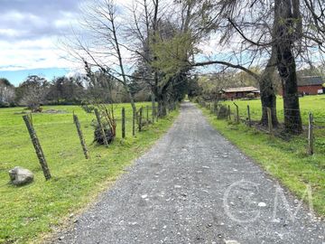 Hermoso terreno en sector Ilihue , Lago Ranco