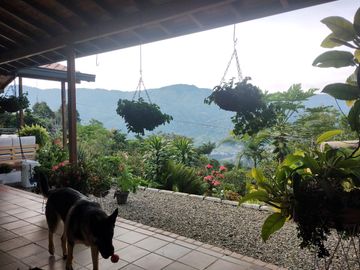 Vendo hermosa Finca en Girardota Vereda Manga Arriba