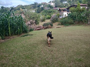 Vendo hermosa Finca en Girardota Vereda Manga Arriba
