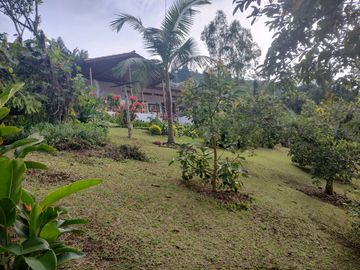 Vendo hermosa Finca en Girardota Vereda Manga Arriba
