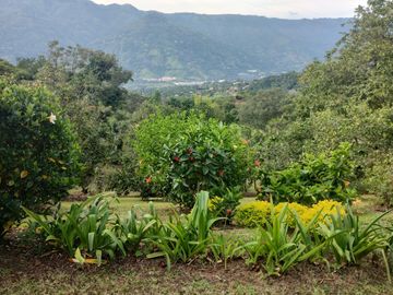 Vendo hermosa Finca en Girardota Vereda Manga Arriba
