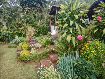 Vendo hermosa Finca en Girardota Vereda Manga Arriba