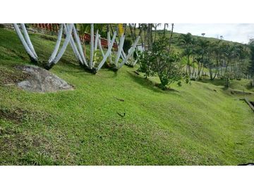 Vendo Finca en Girardota