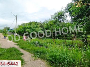 Land for sale Kaeng Khoi 71.35 sq w, Saraburi, near Ban Pong Temple.