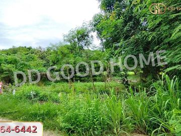 Land for sale Kaeng Khoi 71.35 sq w, Saraburi, near Ban Pong Temple.
