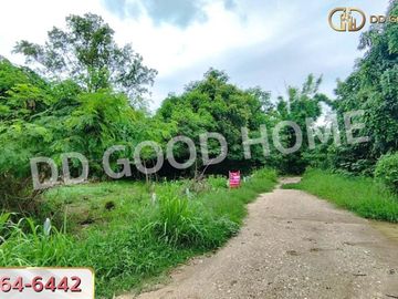 Land for sale Kaeng Khoi 71.35 sq w, Saraburi, near Ban Pong Temple.