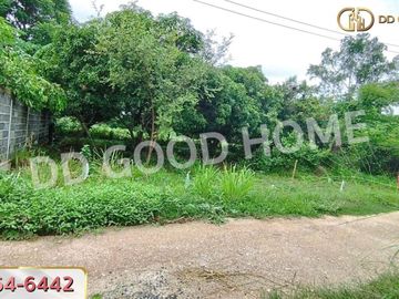 Land for sale Kaeng Khoi 65.5 sq w, Saraburi, near Ban Pong Temple.