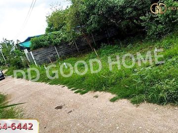 Land for sale Kaeng Khoi 65.5 sq w, Saraburi, near Ban Pong Temple.