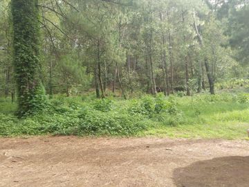 TERRENO PLANO Y ARBOLADO DE 4,382M2 EN PINO REAL, A UN LADO DEL PARQUE KM23 EN MIL CUMBRES