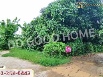 Land for sale Kaeng Khoi 131 sq w, Saraburi, near Ban Pong Temple.