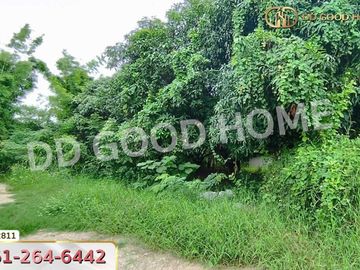 Land for sale Kaeng Khoi 131 sq w, Saraburi, near Ban Pong Temple.