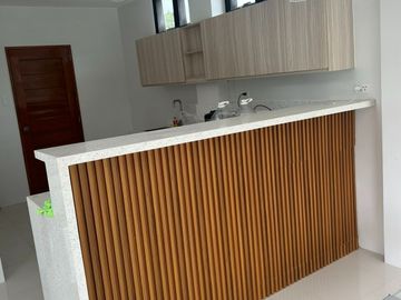FOR SALE - Brand New and Modern House in Buenavista Hills Subd., Tagaytay, Cavite