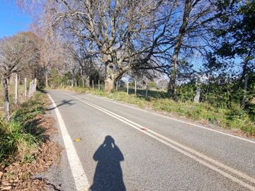 Parcelas Sector Punucapa Alto