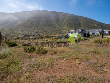 Parcela con 3 casas, bodega y garage techado, sector El Arrayán. La Serena. $100 millones