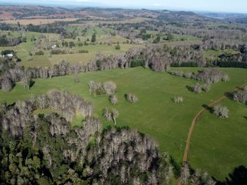 Excepcional campo ganadero de 98,23 hectáreas en Osorno