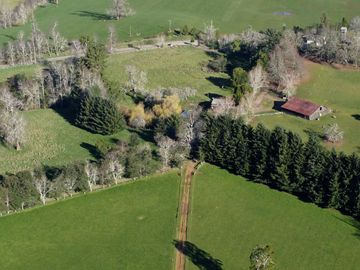 Excepcional campo ganadero de 98,23 hectáreas en Osorno