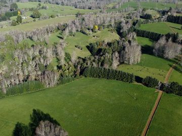 Excepcional campo ganadero de 98,23 hectáreas en Osorno