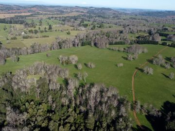 Excepcional campo ganadero de 98,23 hectáreas en Osorno