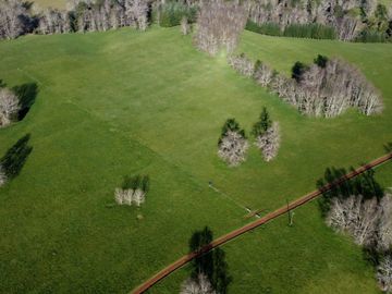 Excepcional campo ganadero de 98,23 hectáreas en Osorno