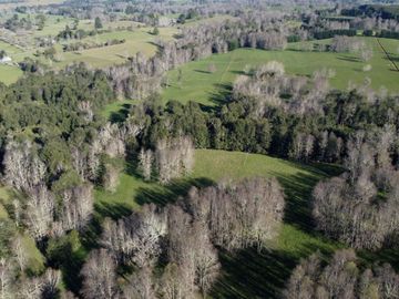 Excepcional campo ganadero de 98,23 hectáreas en Osorno