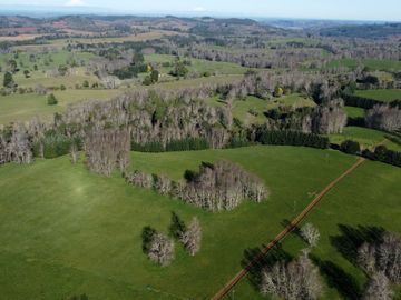 Excepcional campo ganadero de 98,23 hectáreas en Osorno