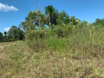 Oportunidad única! Fundo productivo y para de campo en Pucallpa